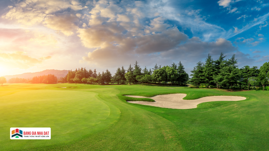 Sân tập golf 8.000 m2: